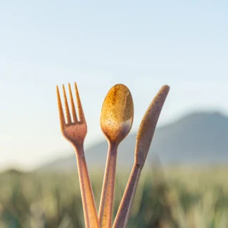 Agave Utensils & Straws